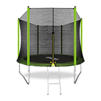 Спортивный батут  10FT с внешней сеткой и лестницей ARLAND